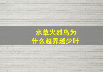 水草火烈鸟为什么越养越少叶