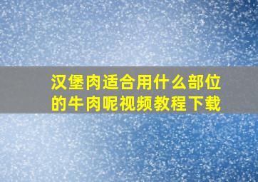 汉堡肉适合用什么部位的牛肉呢视频教程下载