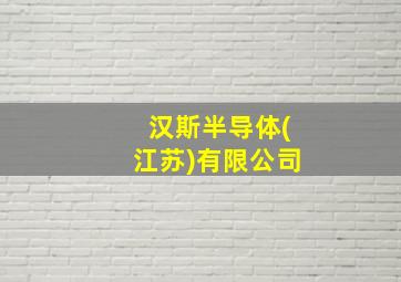 汉斯半导体(江苏)有限公司