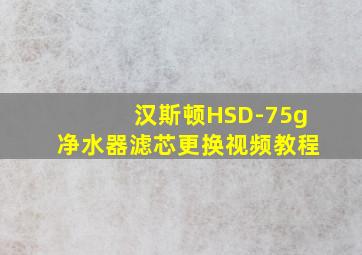 汉斯顿HSD-75g净水器滤芯更换视频教程