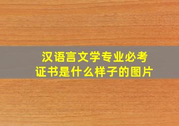 汉语言文学专业必考证书是什么样子的图片