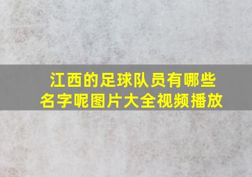 江西的足球队员有哪些名字呢图片大全视频播放