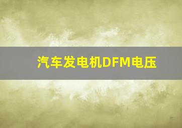 汽车发电机DFM电压