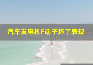 汽车发电机F端子坏了表现