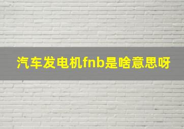 汽车发电机fnb是啥意思呀