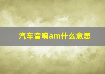 汽车音响am什么意思