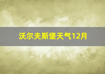 沃尔夫斯堡天气12月