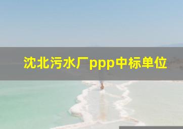 沈北污水厂ppp中标单位