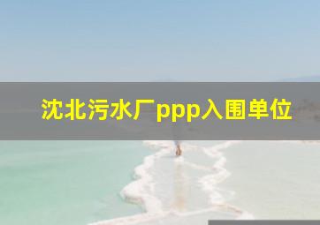 沈北污水厂ppp入围单位