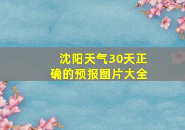 沈阳天气30天正确的预报图片大全