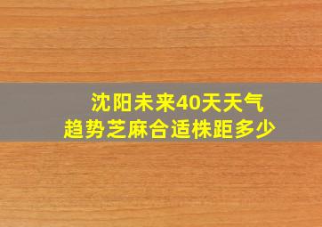 沈阳未来40天天气趋势芝麻合适株距多少