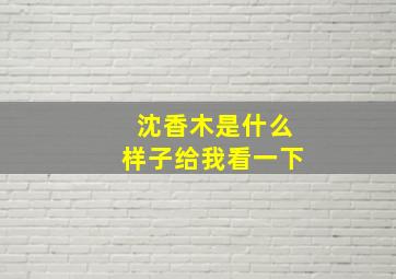 沈香木是什么样子给我看一下