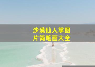 沙漠仙人掌图片简笔画大全