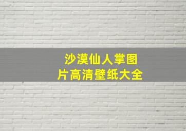 沙漠仙人掌图片高清壁纸大全