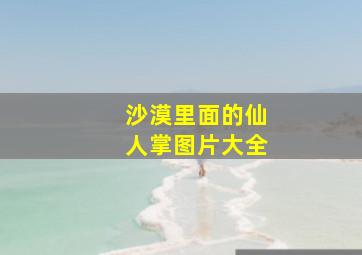 沙漠里面的仙人掌图片大全