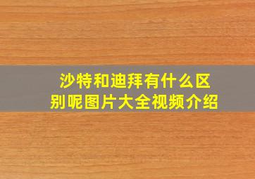 沙特和迪拜有什么区别呢图片大全视频介绍