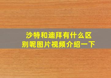 沙特和迪拜有什么区别呢图片视频介绍一下