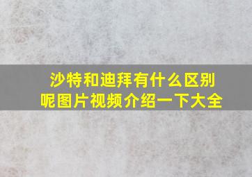 沙特和迪拜有什么区别呢图片视频介绍一下大全