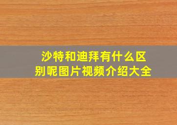 沙特和迪拜有什么区别呢图片视频介绍大全