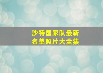 沙特国家队最新名单照片大全集