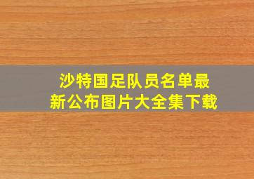 沙特国足队员名单最新公布图片大全集下载