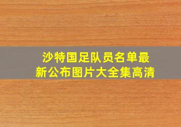 沙特国足队员名单最新公布图片大全集高清