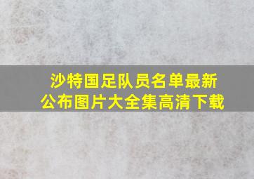 沙特国足队员名单最新公布图片大全集高清下载