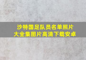 沙特国足队员名单照片大全集图片高清下载安卓