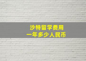 沙特留学费用一年多少人民币