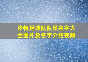 沙特足球队队员名字大全图片及名字介绍视频