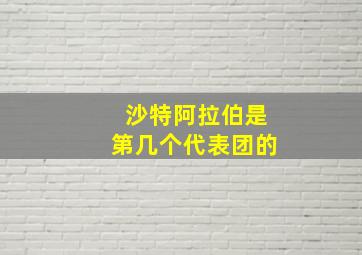 沙特阿拉伯是第几个代表团的