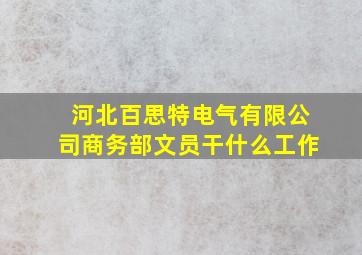 河北百思特电气有限公司商务部文员干什么工作