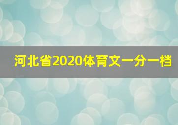 河北省2020体育文一分一档