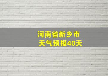 河南省新乡市天气预报40天