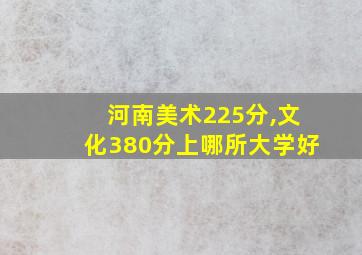 河南美术225分,文化380分上哪所大学好