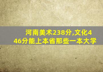 河南美术238分,文化446分能上本省那些一本大学