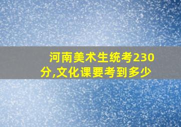 河南美术生统考230分,文化课要考到多少