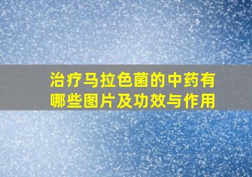 治疗马拉色菌的中药有哪些图片及功效与作用