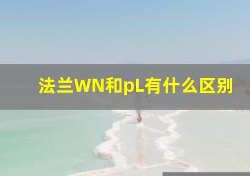 法兰WN和pL有什么区别