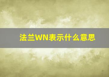 法兰WN表示什么意思