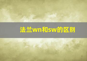 法兰wn和sw的区别