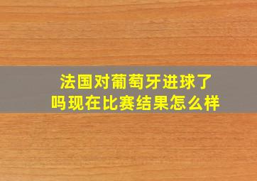 法国对葡萄牙进球了吗现在比赛结果怎么样