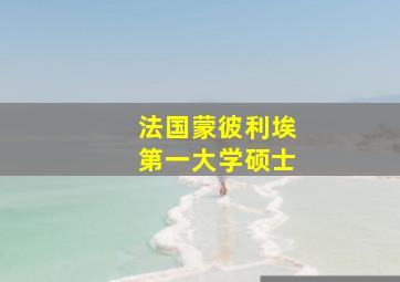 法国蒙彼利埃第一大学硕士