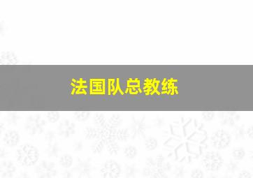 法国队总教练