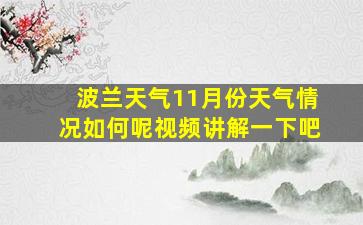 波兰天气11月份天气情况如何呢视频讲解一下吧