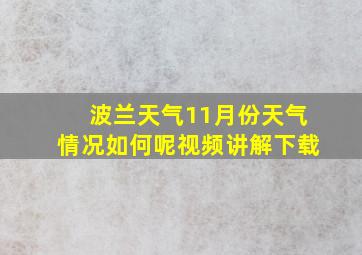 波兰天气11月份天气情况如何呢视频讲解下载