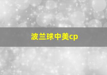 波兰球中美cp