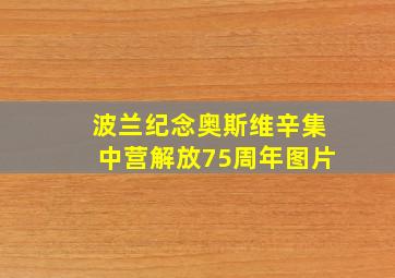 波兰纪念奥斯维辛集中营解放75周年图片