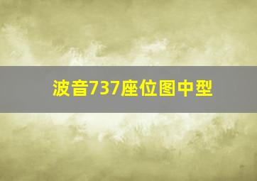 波音737座位图中型