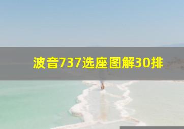 波音737选座图解30排